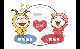 Aries and Capricorn Zodiac Signs Pairing Index