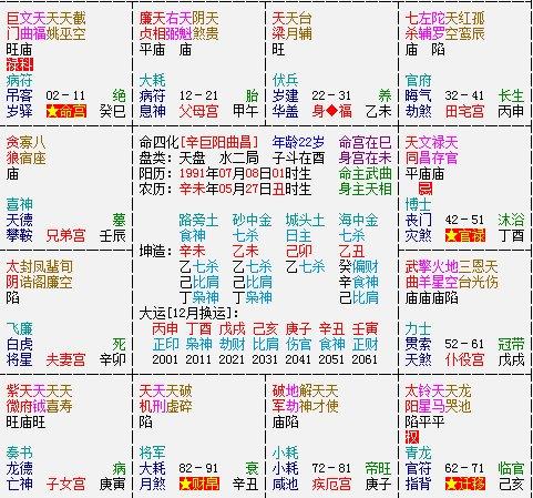 What is the meaning of the main star of the Eight Character Natal Chart