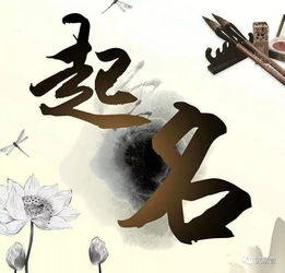 Eight Characteristics in which all the five elements are Pleasing Gods (What is the difference between Pleasing Gods of the Five Elements and Pleasing Gods of the Eight Characters)