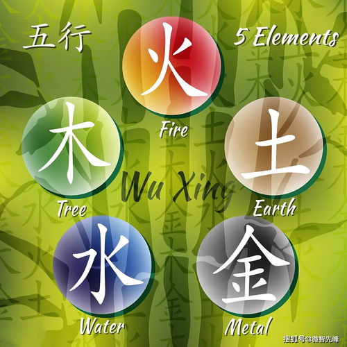 What's the difference between the Five Elements' Happiness and the Eight Characteristics' Happiness