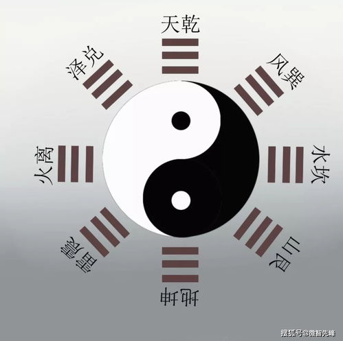 How to look at the wealth and prosperity of the eight characters