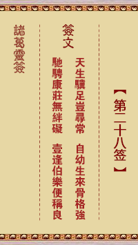 Zhuge Divine Sign 29th Sign