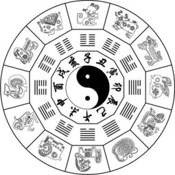 What is the birthplace of the eight characters?