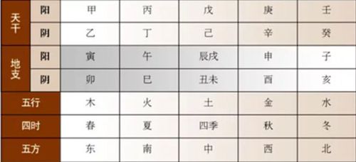 What do the two Shen and two You represent in the Eight Character Earthly Branches