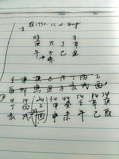 Eight Characteristics with Wuzi Luck (What is the meaning of Wuzi in Eight Character)