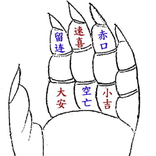 Xiao Liu Nong matters from oneself and what it means