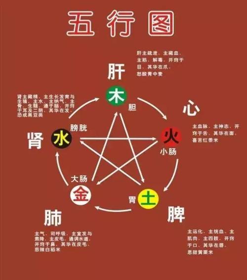 What are the Four Fierce Gods and Four Auspicious Gods in the Eight Characteristics