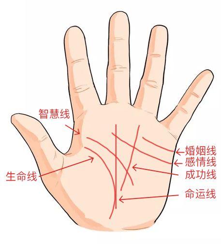 How to read the eight-character chart to see the wife and children
