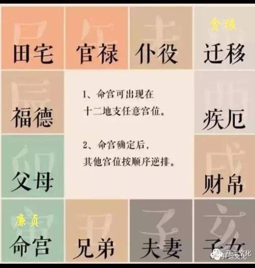 Which column is the house of children in the Eight Characteristics
