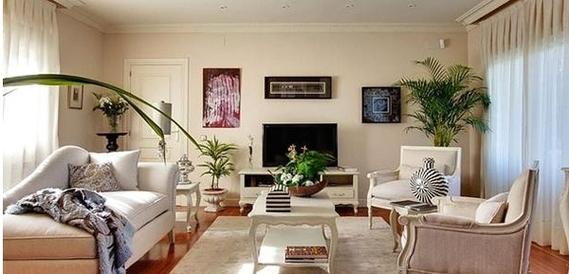 What is good feng shui in the living room (what is good to put in the living room)
