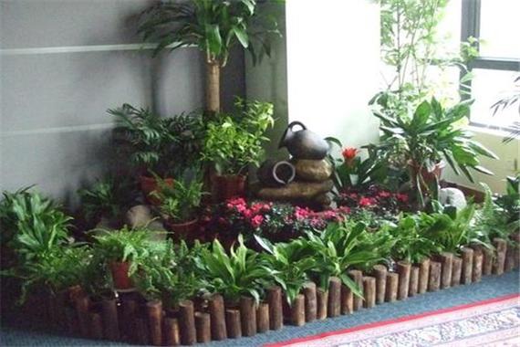 Home plants put which position is better