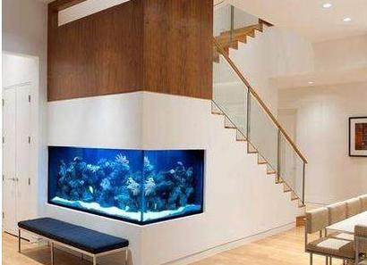 Feng Shui of home fish tank (Feng Shui of fish tank at home makes you wealthy)
