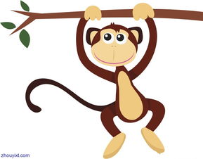 Snake and monkey eight characters are compatible (Snake and monkey eight characters are good)