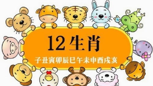 Horoscope Compatibility (Chinese Zodiac Signs Compatibility, Compatibility, Compatibility, Punishment, Harmful Table)