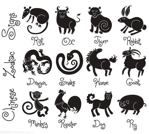 Zodiac Five Elements Compatibility Table