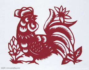 1981 Rooster's Nobleman Who