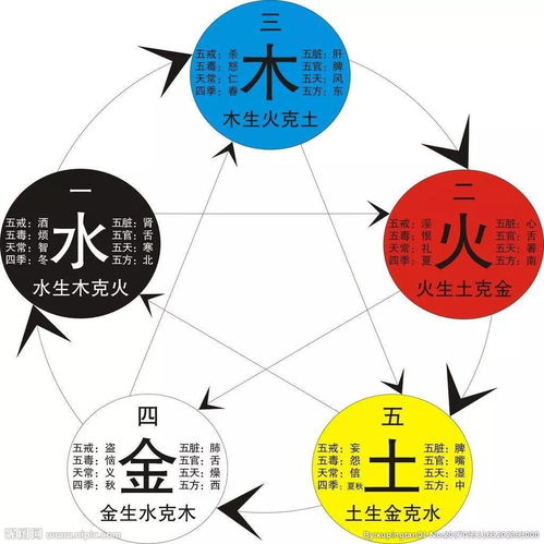 Five Elements Chinese Zodiac Signs Query Zodiac Signs Five Attributes