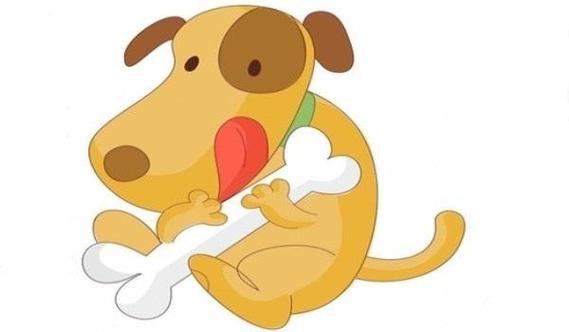 What's the right match for a Dog's eight characters and what's the right match for the genus