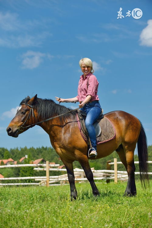 Female Horse and Male Goat phases are suitable together