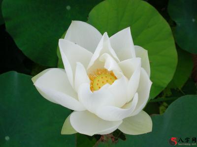 For this traditional Chinese culture XuanKong FengShui, would like to say two points to you!