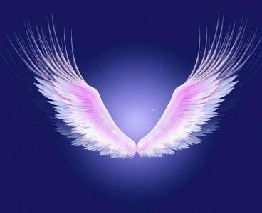 Psychometric Test: Which of the 4 pairs of wings would you most like to have? What will you get in 2020?