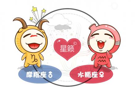 Capricorn and Aquarius Zodiac Sign Compatibility Index