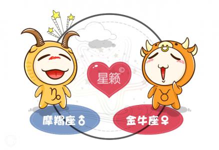 Capricorn and Taurus Zodiac Sign Compatibility Index