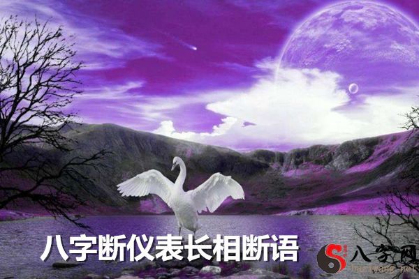 Eight Character Interpretation of Instrumental Looks Interpretation
