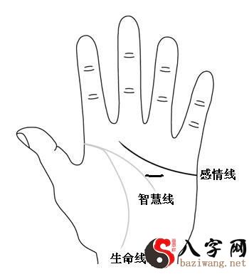 How can you tell your fortune from your palm? What palm lines are good at business?