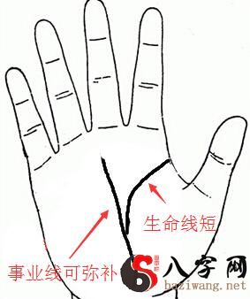 Palmistry|Life expectancy and palmistry? What does a short-lived palm look like?