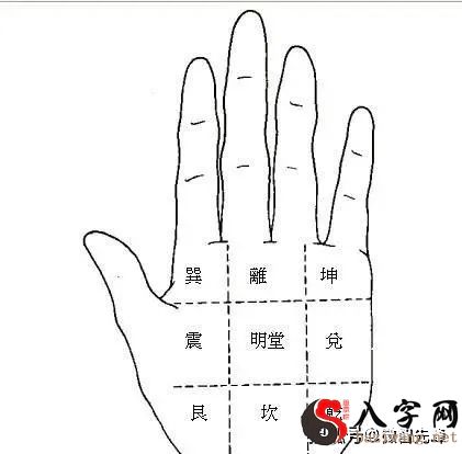 Palmistry: the secret of
