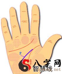 Palmistry|These palm features actually portend marital bliss!