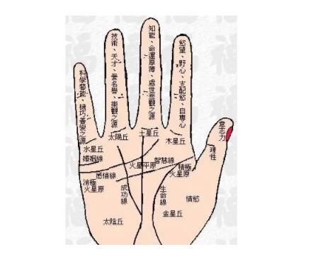 Palmistry: What are the characteristics of the richest man's palm?