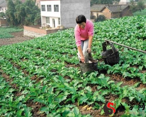 Dreaming of farmers growing vegetables