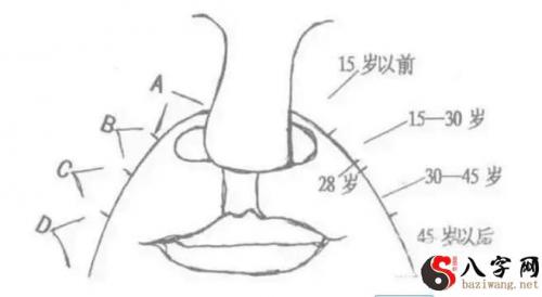 Face 丨These facial features, the official face of the self-made