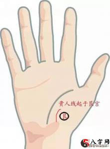 Palmistry and Destiny, What is the Nobleman's Line in Palmistry?