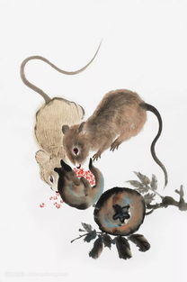 1972 Year of the Rat in 2023 Horoscope and Resolution
