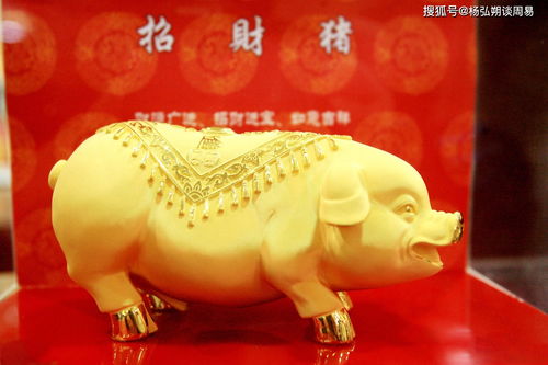 What is the marriage between a Pig and an Ox?