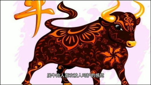 1973 Ox Man's Relationship
