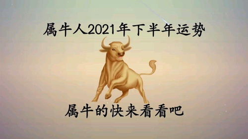 How is the Ox's luck this year?