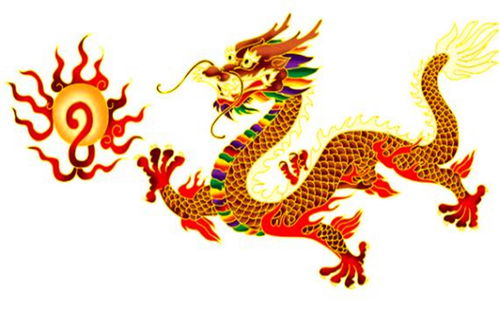 Dragon 1988 Lucky Number
