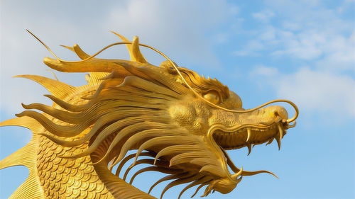 What year was the Dragon born?