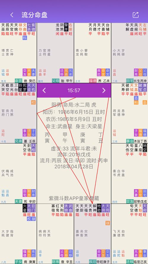 Zi Wei Dou Shu Four Pillars Eight Character Iron (Which is accurate, Zi Wei Natal Chart or Eight Character Chart)