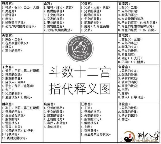 Years of Ziwei Natal Chart