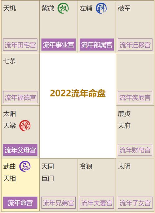 Zi Wei Numerology Chart that is Noble due to Marriage