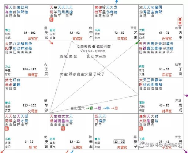 Year of the Zi Wei Breaking Army