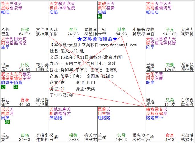 How to read Zi Wei Dou Shu Liu Ri Pan