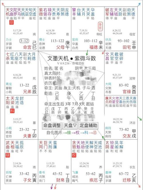 Yearly Zi Wei Human Plate (Zi Wei Natal Plate Heavenly Plate Earthly Plate Human Plate)