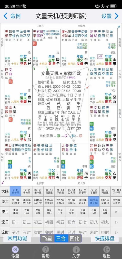 The Eight Characteristics of the Palace of Disease and Error Detailed Explanation (Zi Wei Dou Shu Disease and Error Palace can represent what)