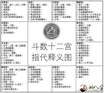 Zi Wei Natal Chart of the Current Year (The Zi Wei Natal Chart of a person who is valuable due to marriage)